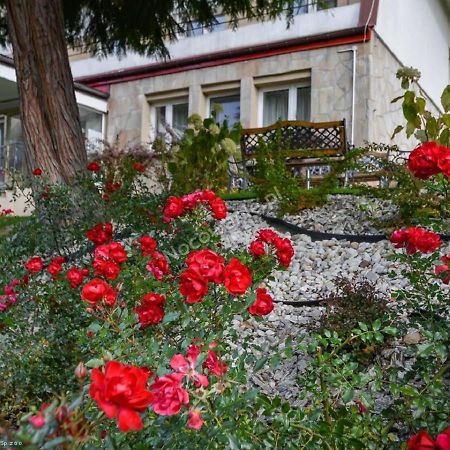 Dom Wczasowy Sokolica Krynica Zdrój Kültér fotó