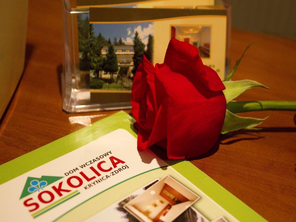 Dom Wczasowy Sokolica Krynica Zdrój Kültér fotó