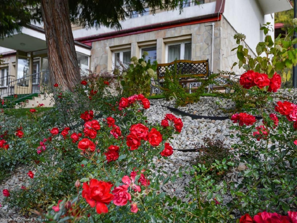 Dom Wczasowy Sokolica Krynica Zdrój Kültér fotó